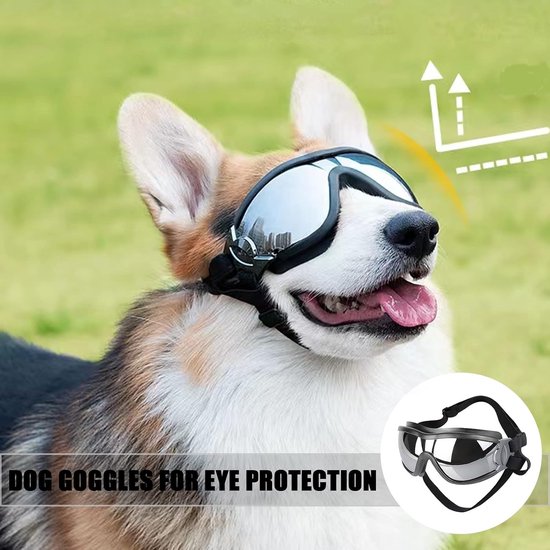 UV-veiligheidsbril voor honden; verstelbare hondenzonnebril; hondenbril beschermt de ogen van je hond; veiligheidsbril, waterdicht, winddicht, anti-condensbril, oogbescherming voor groot/middelgrote — afbeelding 3