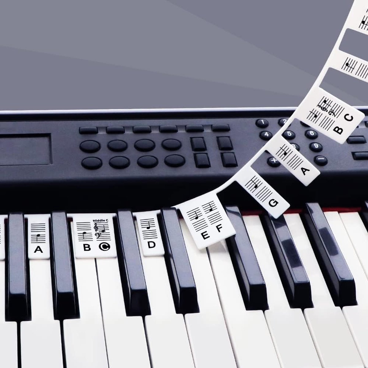 Piano toetsenstickers 61 toetsen - Herbruikbaar - Niet-plakkerig - Perfect voor beginners - ShopVlot