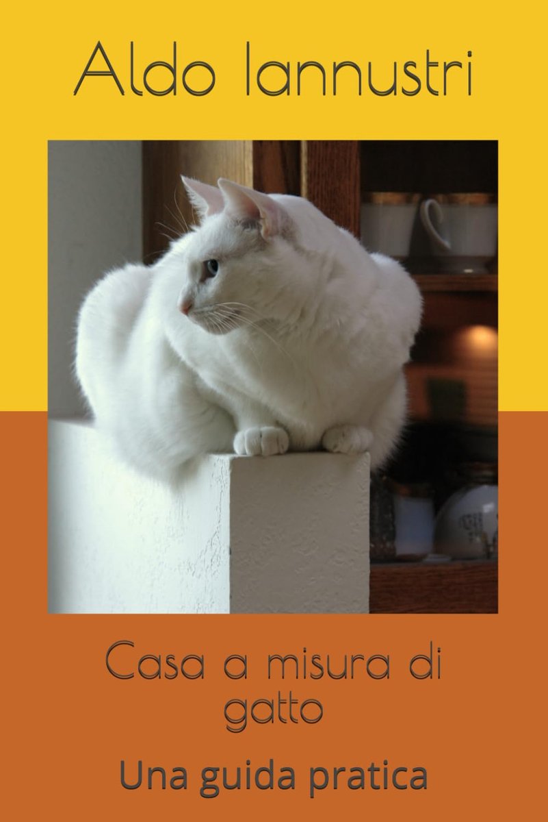 A misura di gatto: Una guida pratica