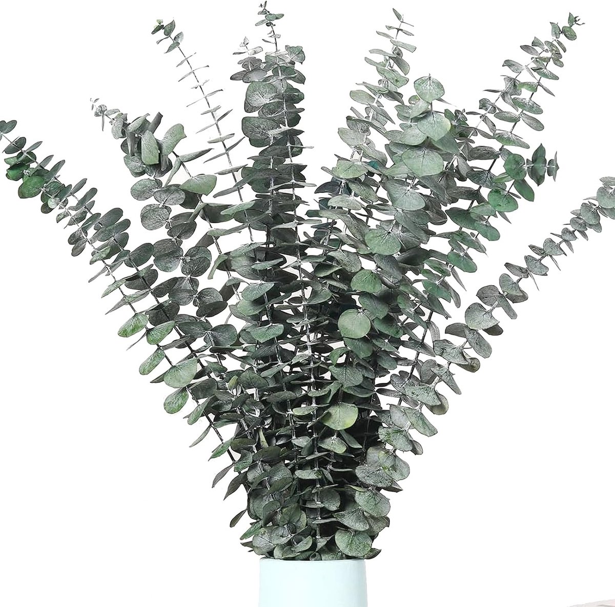 Gedroogde eucalyptus takken 43 cm - Natuurlijk gedroogde bloemen - Boho decoratie - Perfect voor tafelarrangementen - SnelShoppen