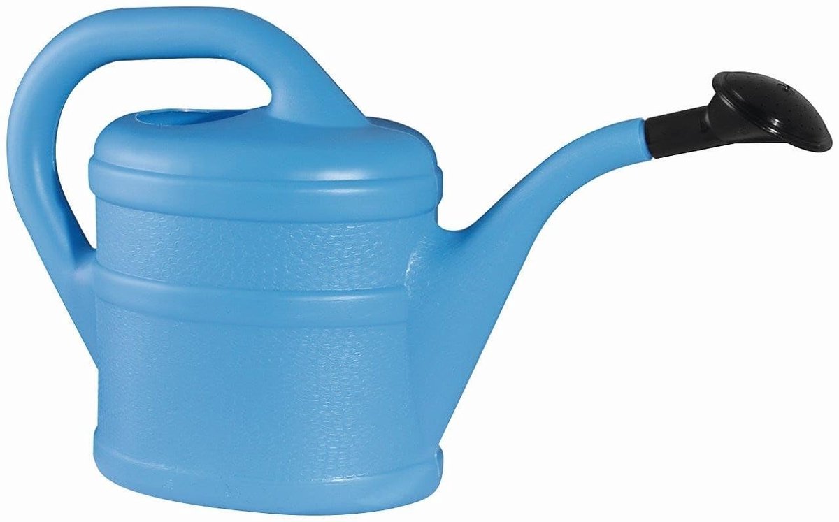 Dailygoods- Gieter 2 Liter - Gieter voor Binnen/Buiten - Gieter voor Kamerplanten - Gieter voor Balkonplanten - Kunststof - Klassiek Design - Plantenbewateringskan