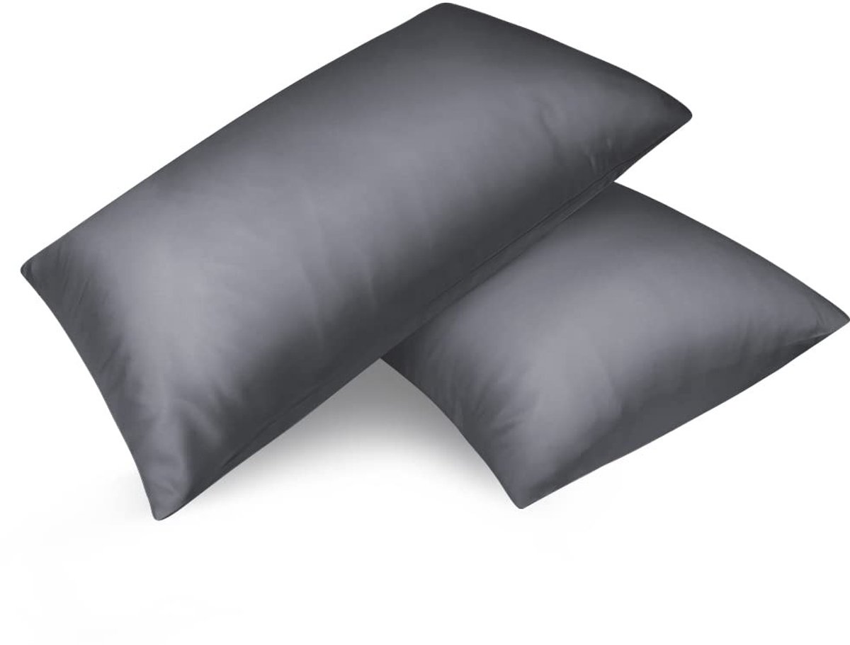 Dailygoods- Kussensloop Set van 2 - Satijnen Kussensloop - Ritssluiting - 40 x 60 cm - Haar- en Huidverzorging - Zijdezacht - Kussenhoes