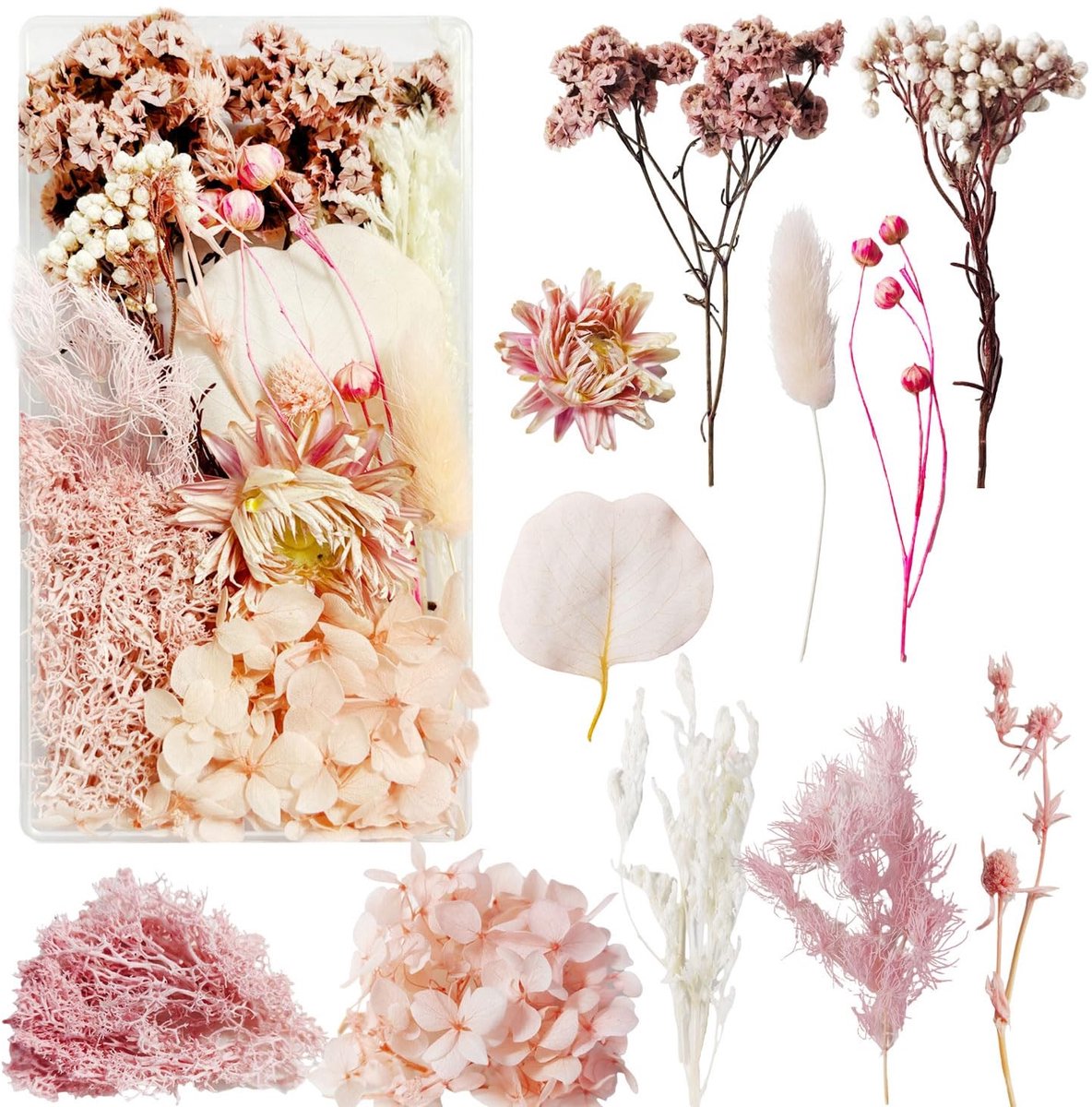 Dailygoods- Gedroogde Bloemen Natuurlijke Decoratie - Echte Gedroogde Bloemen - Droogbloemen Wit - Voor Doe-Het-Zelf Decoratie - Allergie Waarschuwing
