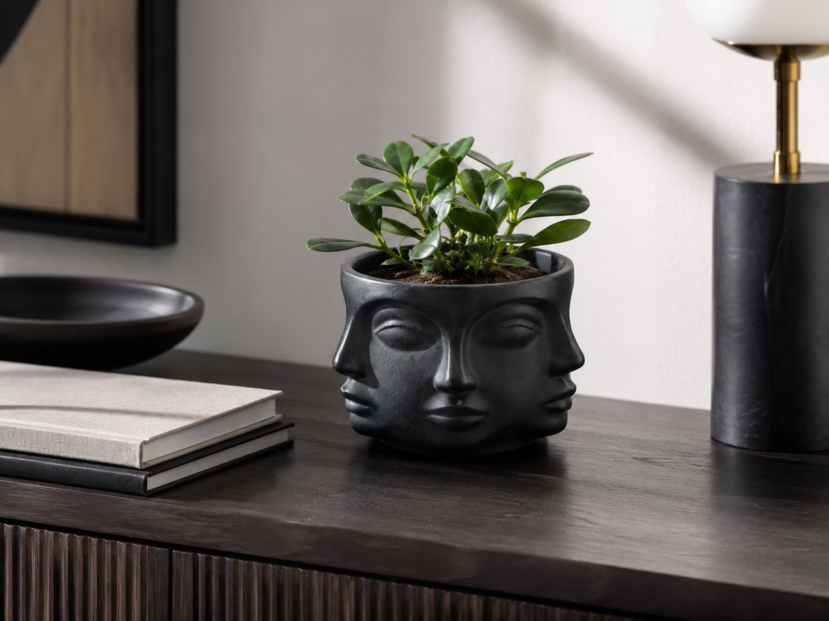 Zwarte Bloempot met Gezichtsdesign – Moderne Ronde Plantenpot Ø16,5 x 12 cm – 360° Face Planter / Gezicht Bloempot – Voor Kamerplant, Vetplant, Cactus, Kunstplant & Bloemen – Decoratieve Pot voor Woonkamer, Vensterbank, Bureau, Dressoir & Interieur