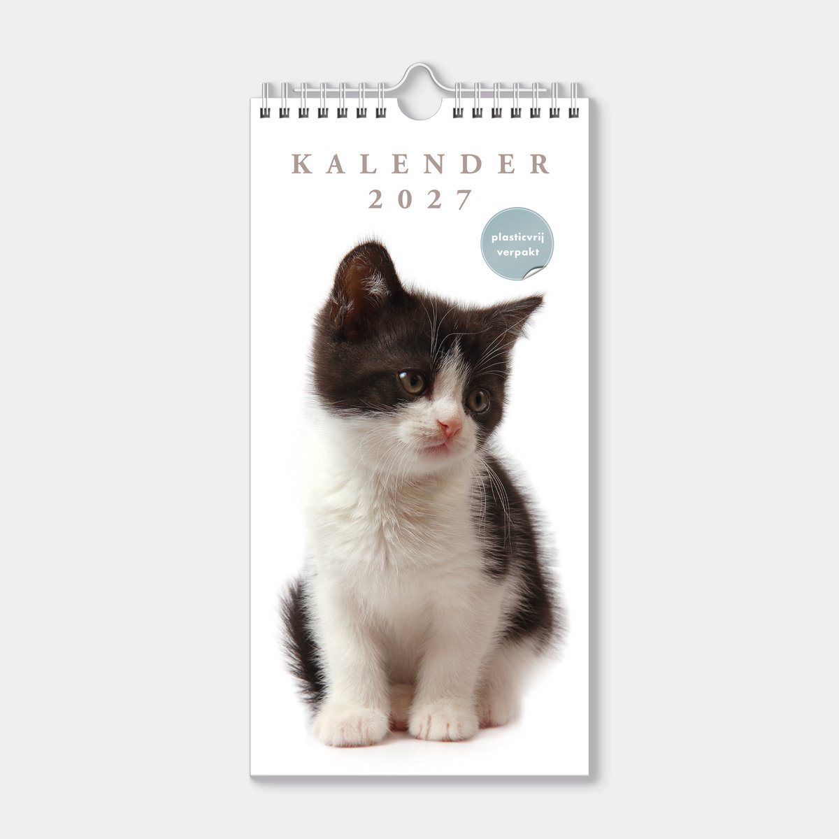 Hobbit - Minikalender 2027 - Maandplanner - 30x15cm - Katten