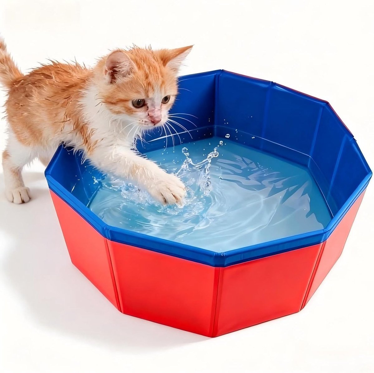 Vouwbare Badkuip voor Katten en Kleine Honden, Ideaal voor Badderen en Spelen in Water, 30×10 cm, Rood