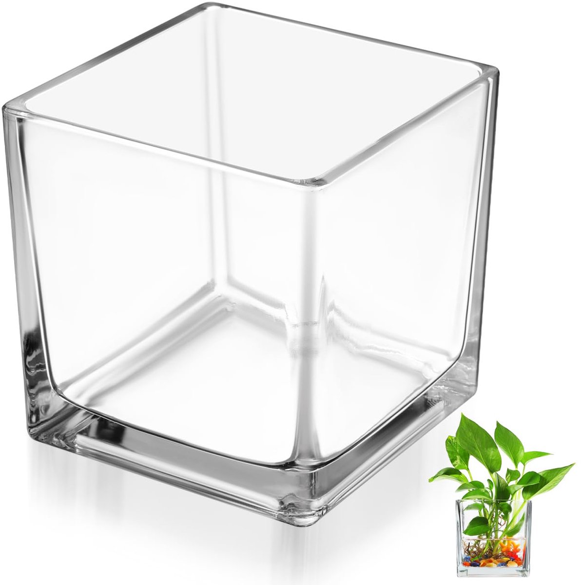 SnelShoppen - Kubusvormige glazen vaas van dik glas, vierkante bloempot voor hydrocultuur, transparante bureaudecoratie, 15cm hoog, ideaal voor huis e