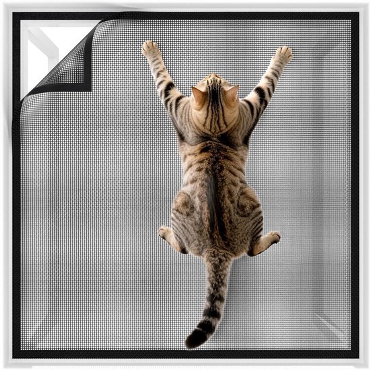 Raamhor voor Katten - Sterke Zelfklevende Raamnet voor Dierenbescherming, Veiligheid en Insectenwering - Ideaal voor Binnengebruik en Kattenveiligheid