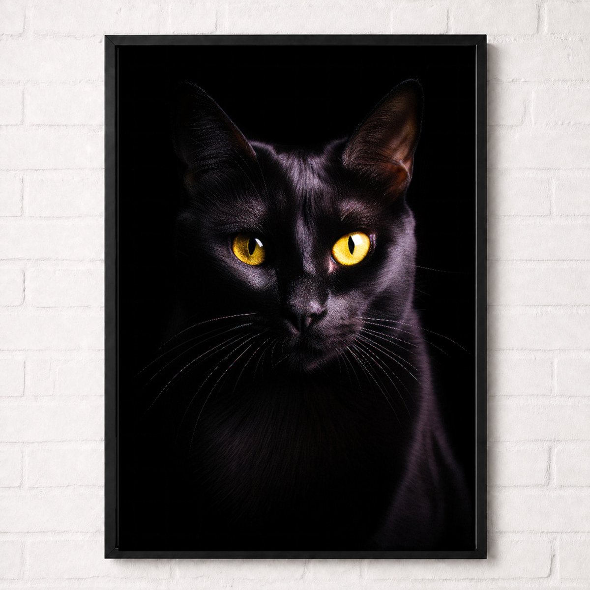Zwarte Kat Poster - Huisdieren Collectie - Dieren Posters - A2+ 43,2 x 61 cm