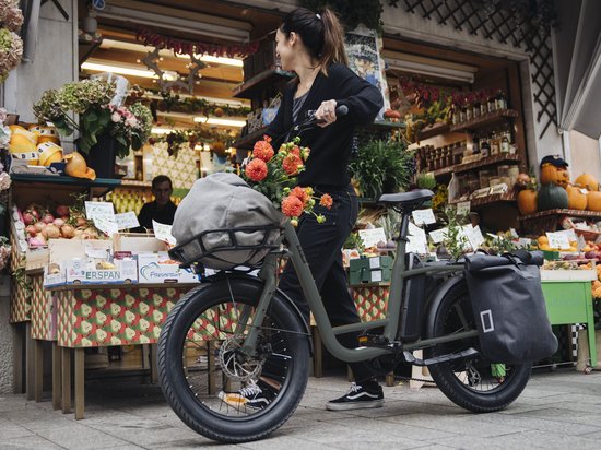 Villette Citadin MM elektrische transportfiets city alu grijs van Villette — afbeelding 2