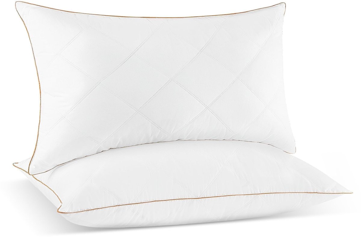 Solidchoice - Luxe Donzen Kussen Set van 2 met 100% Katoenen Hoes