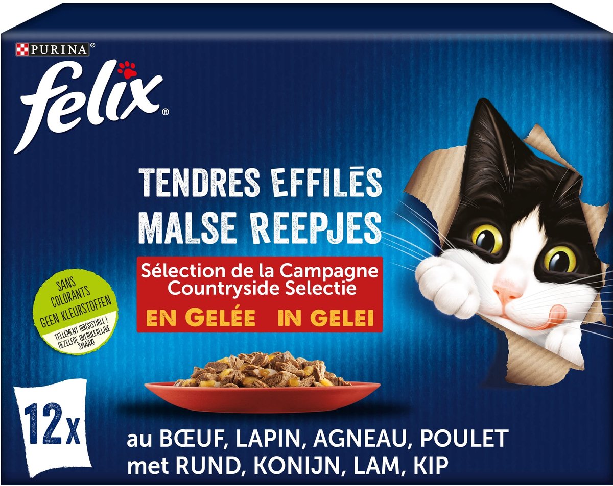 Solidchoice - Tender Kattenvoer in Gelei voor Jonge Katten