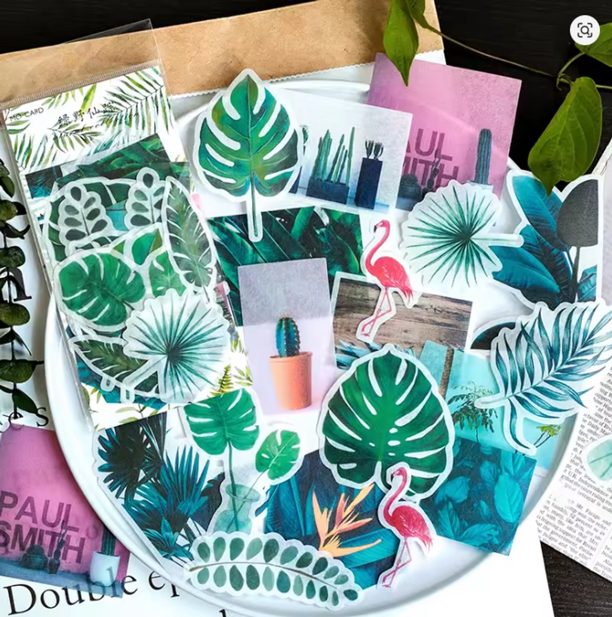 Grote Washistickers Jungle – 60 Stickers – 20 Verschillende Ontwerpen – Jungle Thema