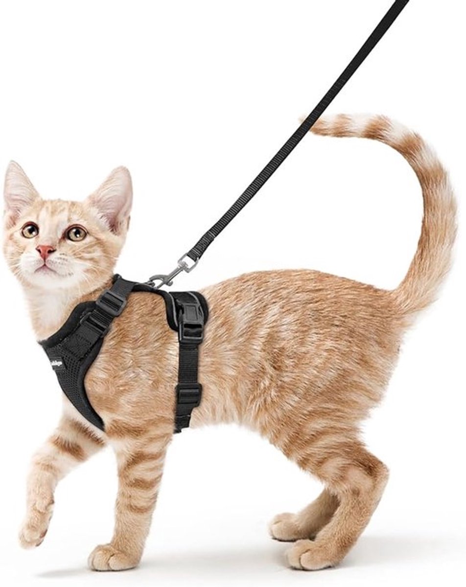 Kattenriem, anti-ontsnapping, zacht en verstelbaar, gemakkelijk te bedienen, ademend ontwerp met reflecterende strip, zwart, maat M