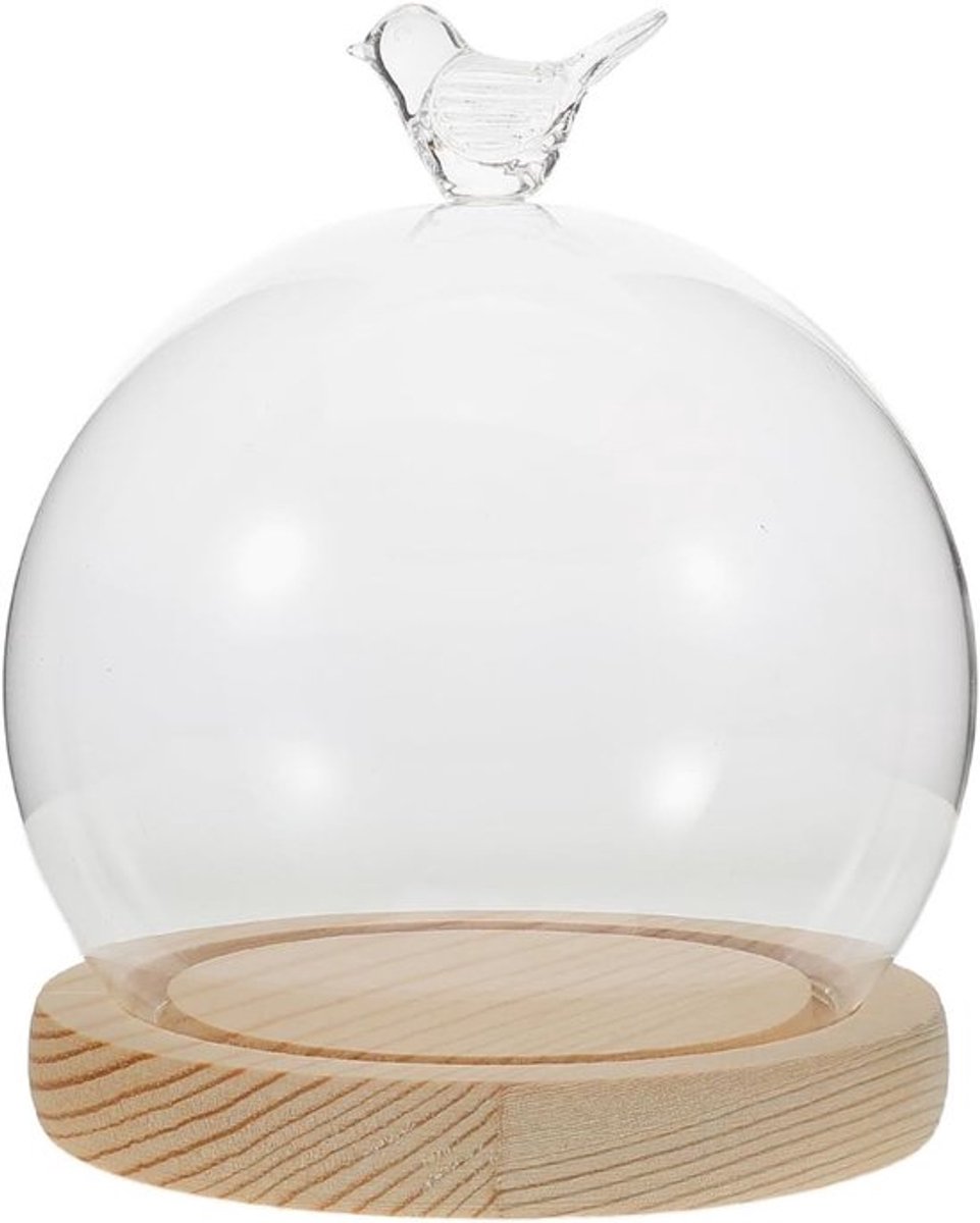 Set van transparante glazen bel met decoratieve displaybasis voor bewaarde bloemen en DIY-projecten