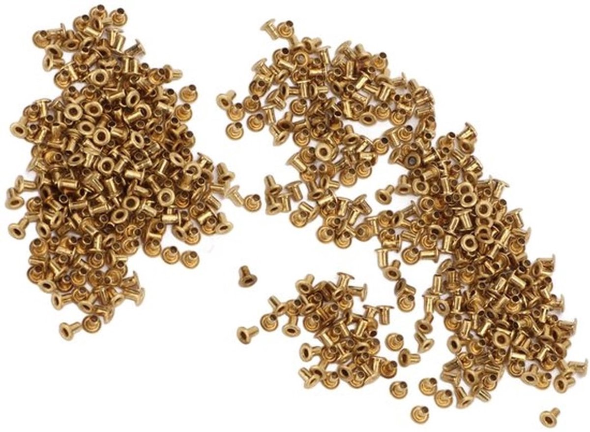 Koperen Holle Rivets - Duurzame Rivets - 500 Stuks - Ideaal voor Leer en PCB Projecten - Perfect voor Hobbyisten - Geschikt voor Klussen ...