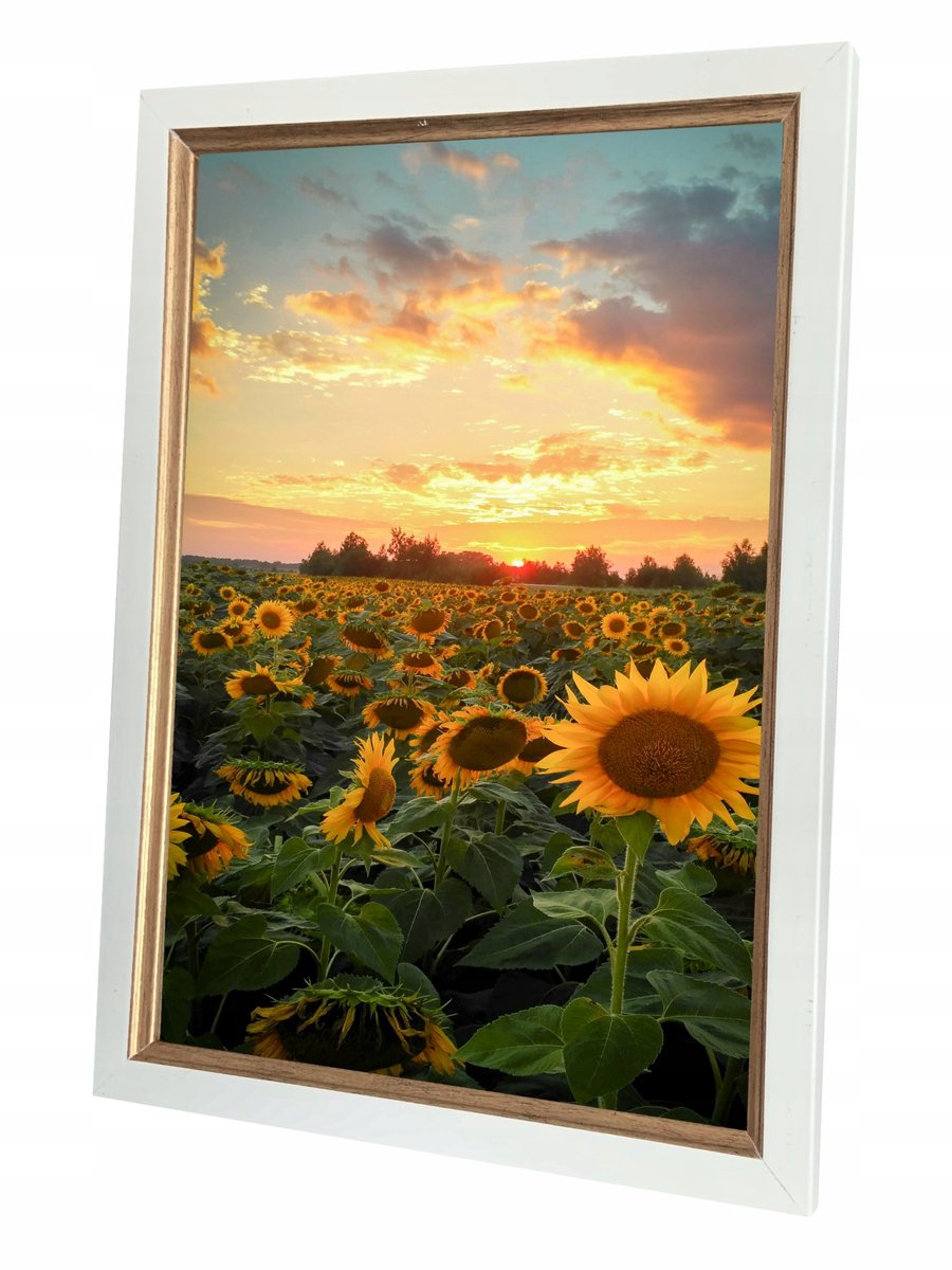 Houten Fotolijst 50x70 cm Fiona - Diverse Kleuren