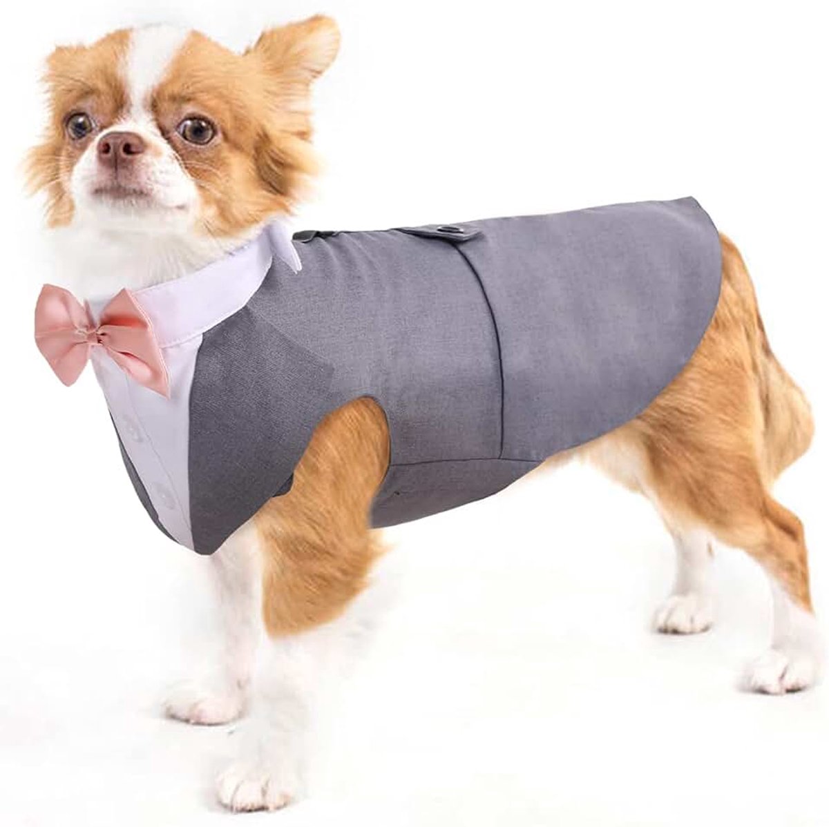 Hondenshirt Puppy Hondenkleding Mode Pak Smoking Vlinderhemd met Stropdas Hond Bruiloft Vlinderdas Pak voor Bruiloftsfeest Halloween Kerstmis Festival Partij(Grijs, S)