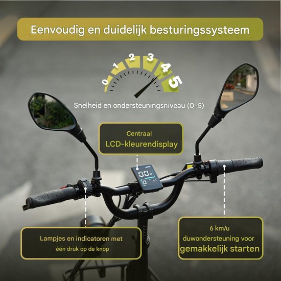 Fafrees Elektrische Driewieler - 20 Inch 48V 21Ah Accu - Dik Klapfiets E-Bakfiets - Elektrische Fiets - Elektrische Vrachtsfiets 180kg - 85km Bereik - Grote groentemanden aan de voor- en achterkant - Koppelsensor - Max 180kg Belasting - Groen van FAFREES — afbeelding 5