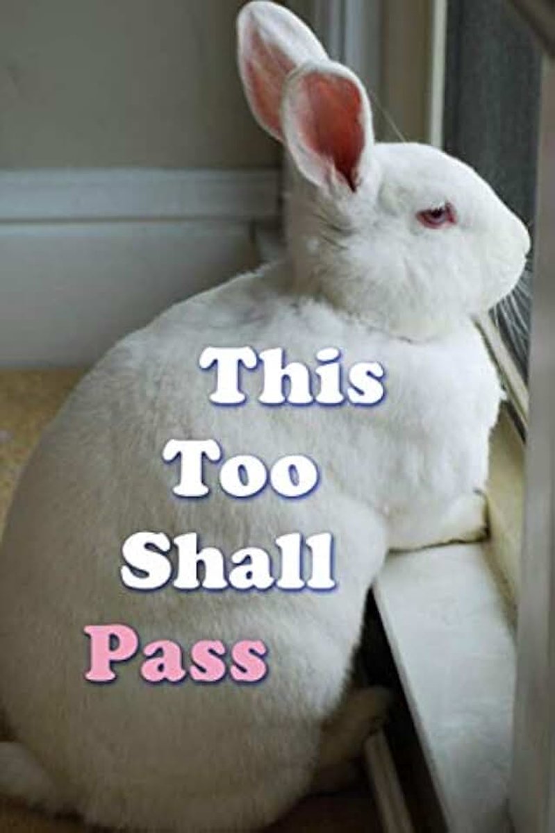 Too Shall Pass Journal | Sad Bunny Rabbit