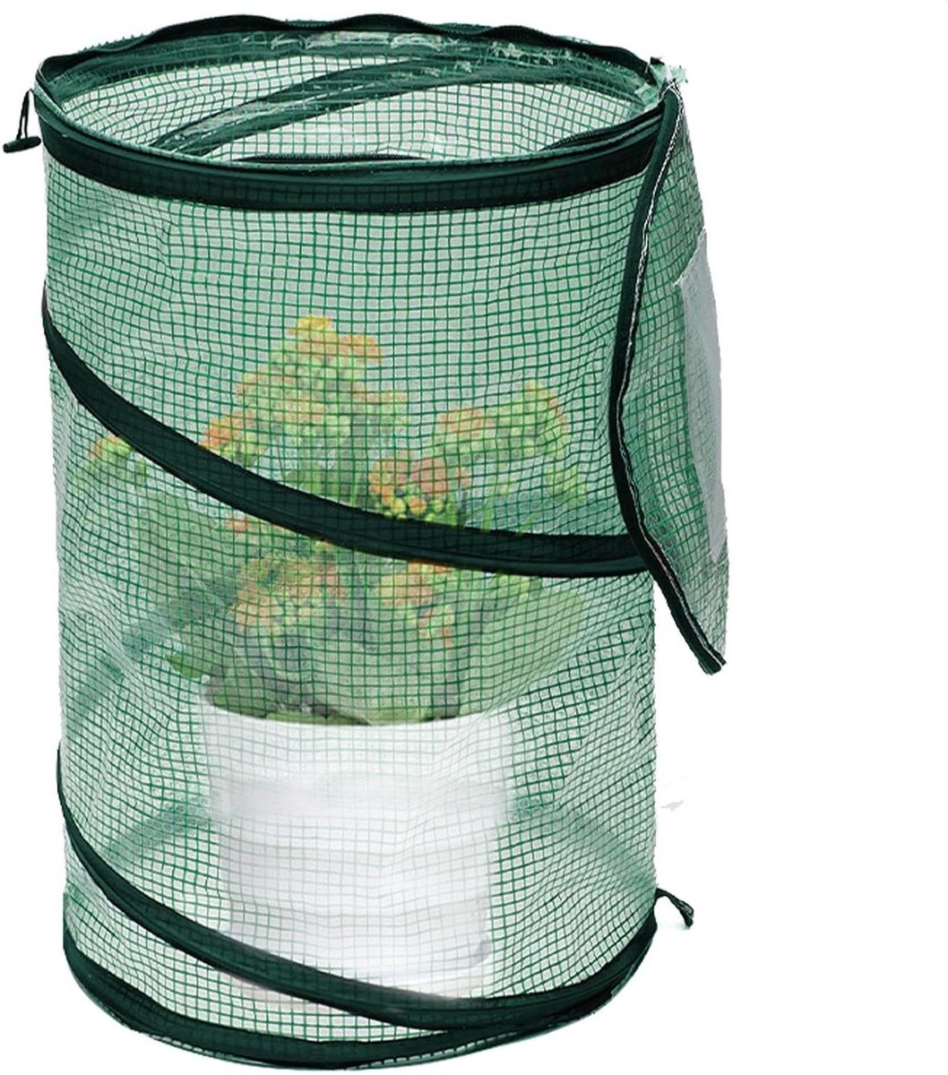 Kleine Kweekkas - Mini Kas - Planten Beschermen - Opvouwbaar Ontwerp - 50 x 68 cm - Groen