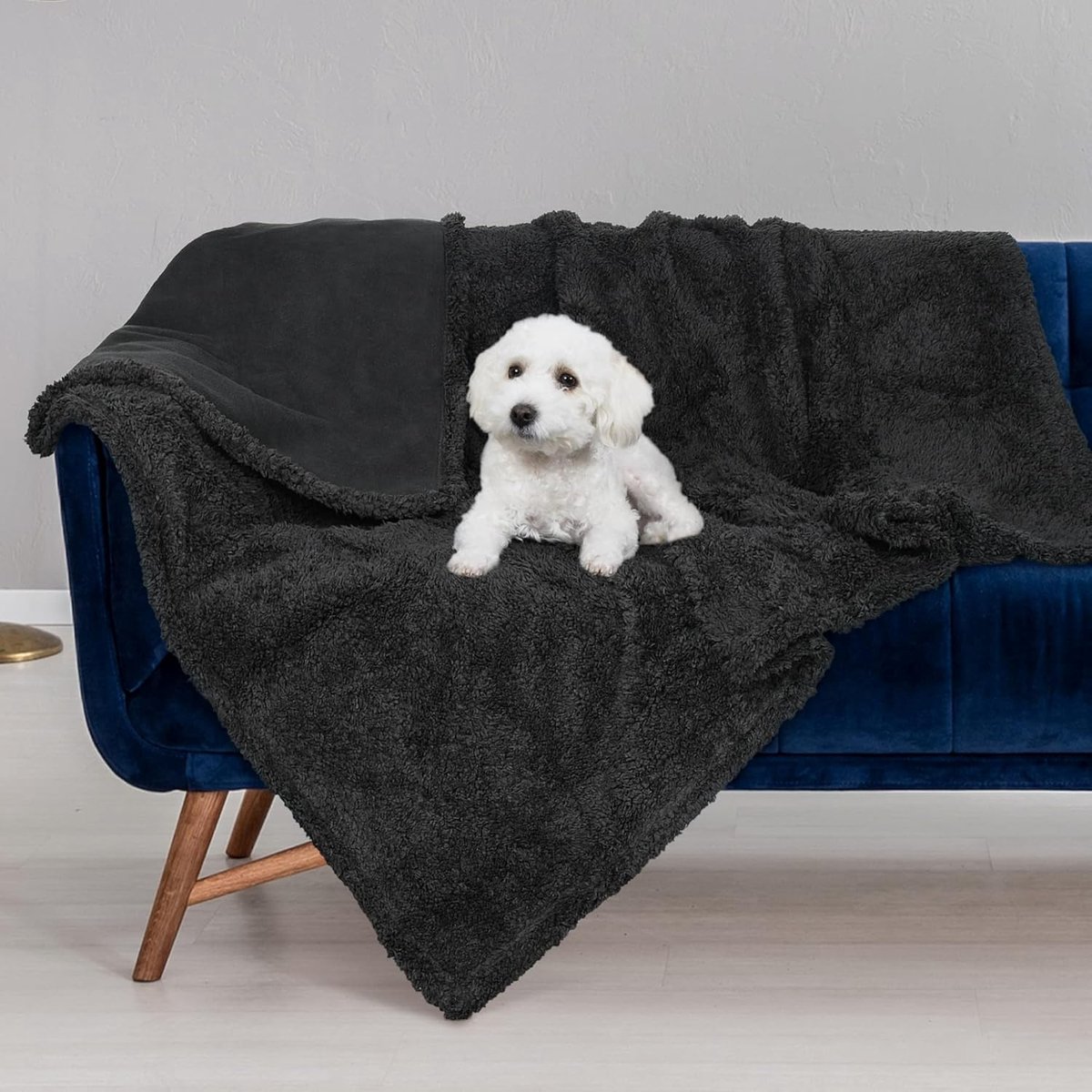 SnelShoppen - Waterdichte hondendeken M 75 x 125 cm - Wasbare knuffeldeken voor onderweg, bankbescherming hond, sprei voor auto, bank, bed, zwart