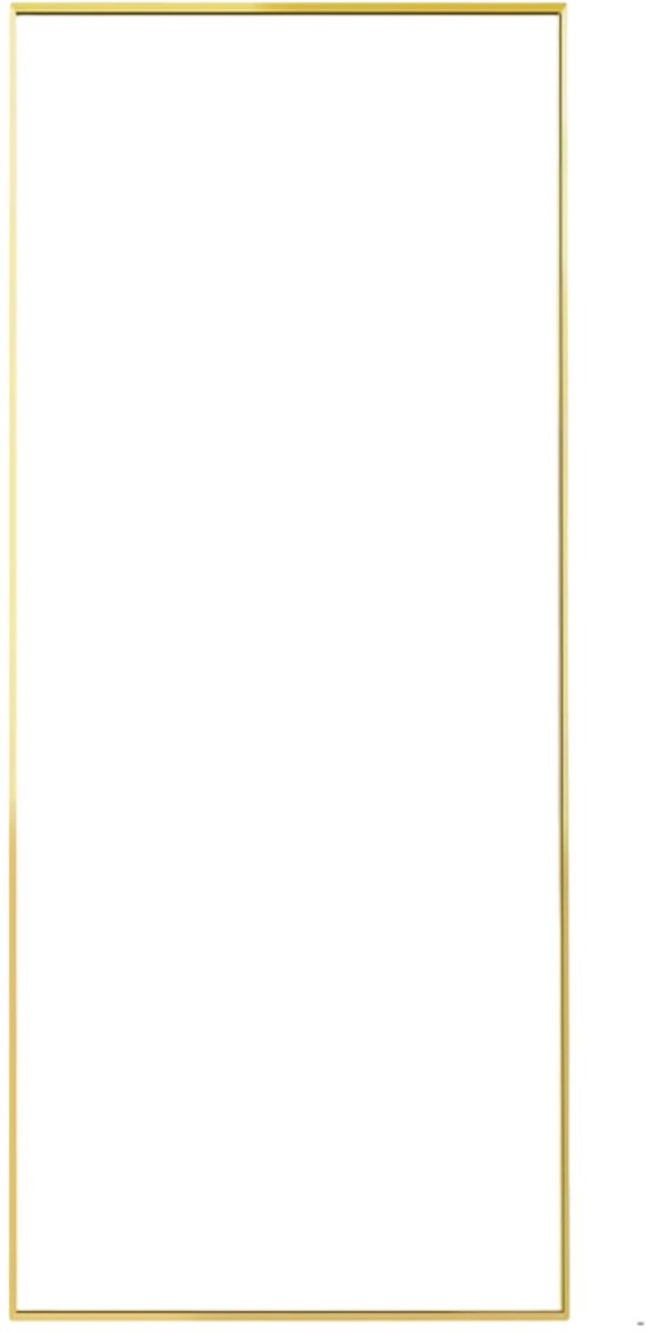Staande Spiegel 150 X 40 Cm Goud - met Metalen Frame