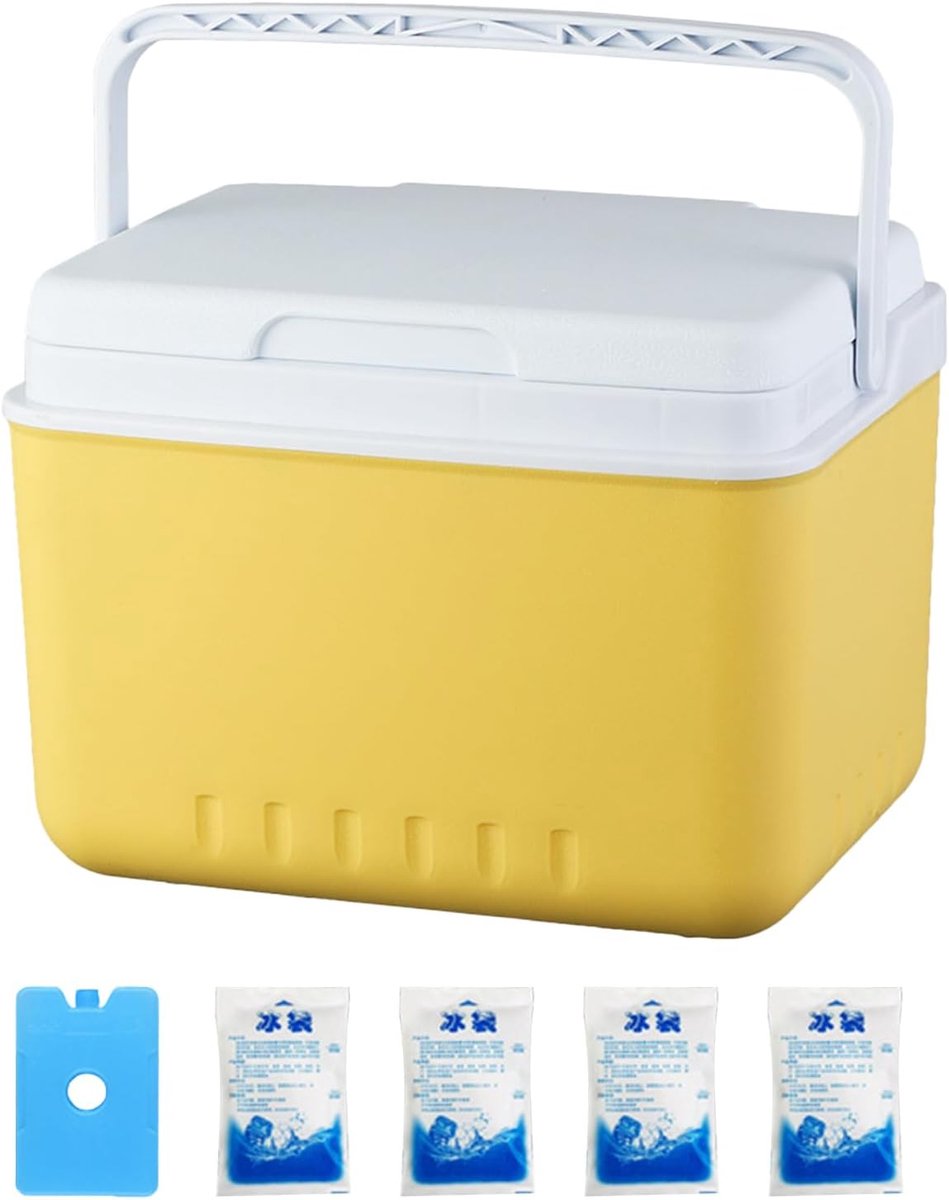 Koelemmer - IJsbox - Outdoor avonturen - Lekvrije container - 6 liter - Blauw