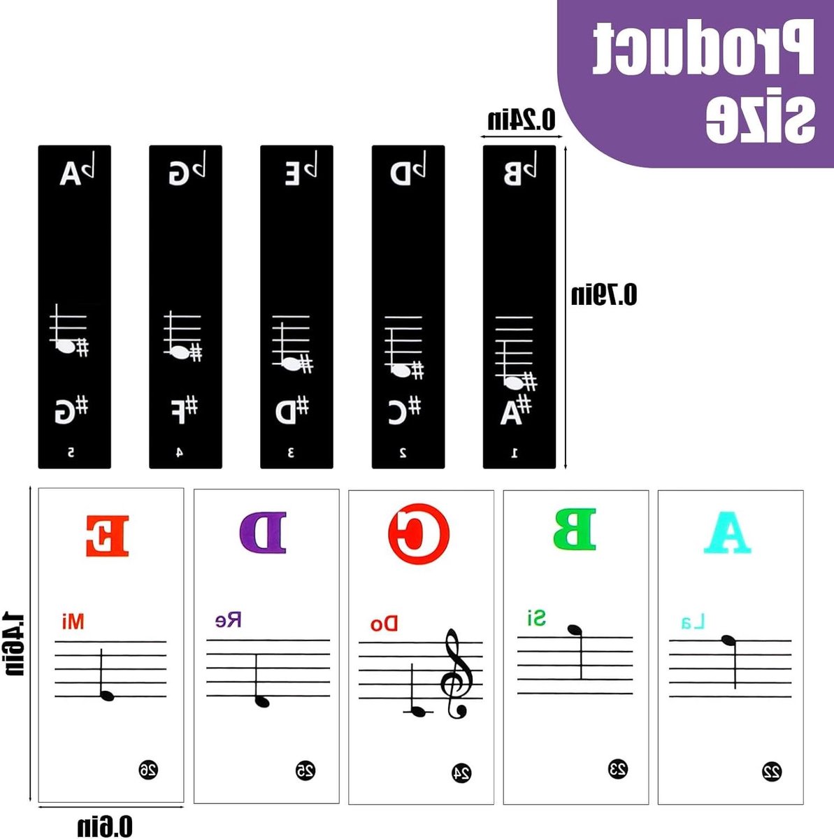 Pianotoetsenbord Stickers - Muzieknoten Labels - Piano Leren - Grote Vetgedrukte Letters - Voor 88 Toetsen - Meerkleurig