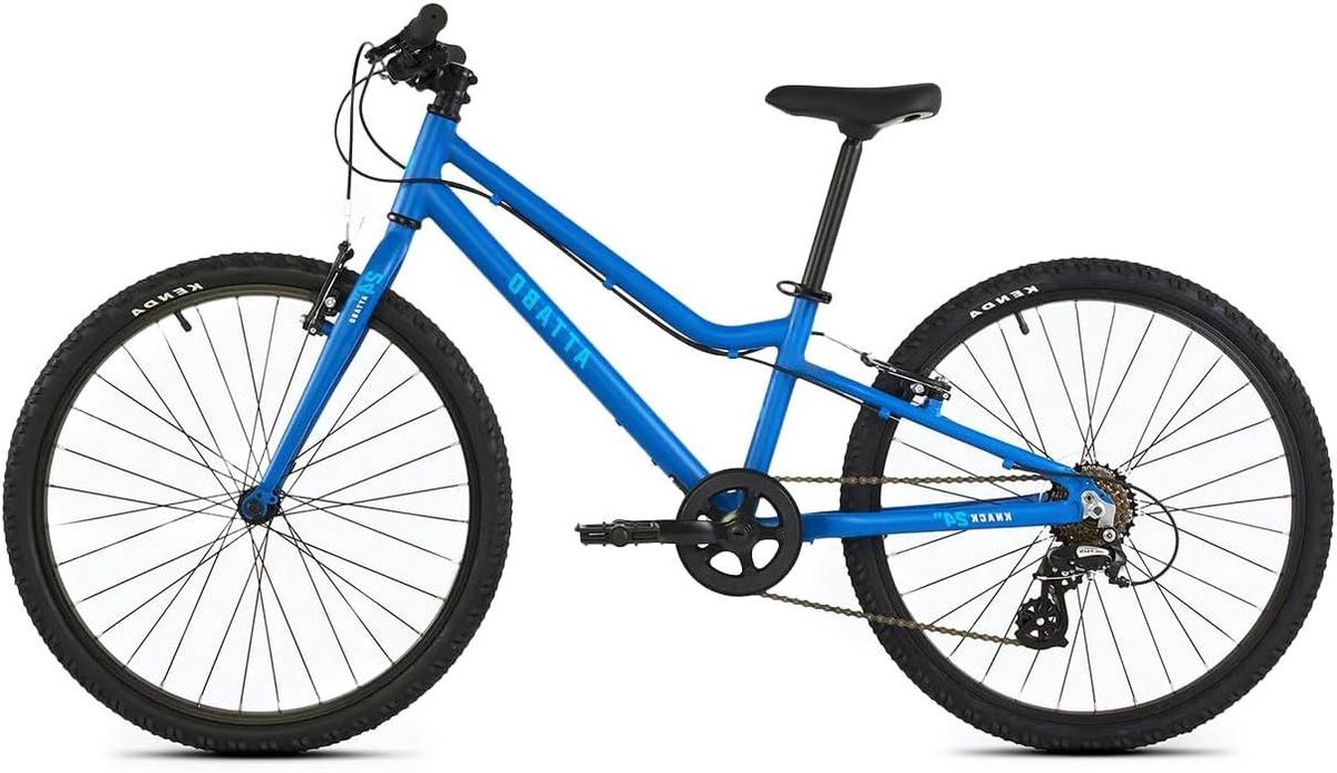 Kinderfiets 24 Inch - Jongensfiets Meisjesfiets - Buiten Fietsen - Licht Aluminium Frame - 24 Inch - Blauw