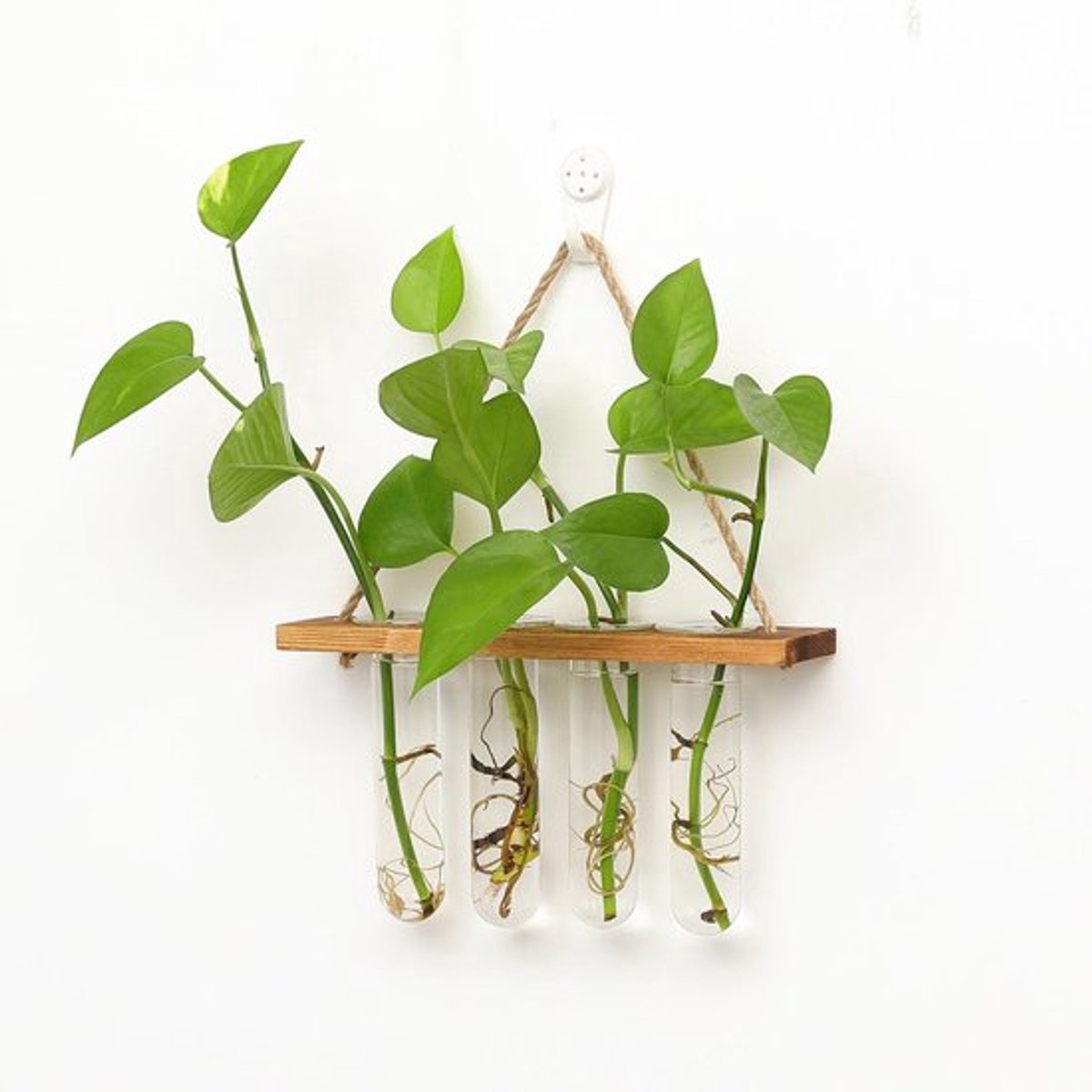 SPHProducts - Hangende Glazen Hydrocultuurplanter