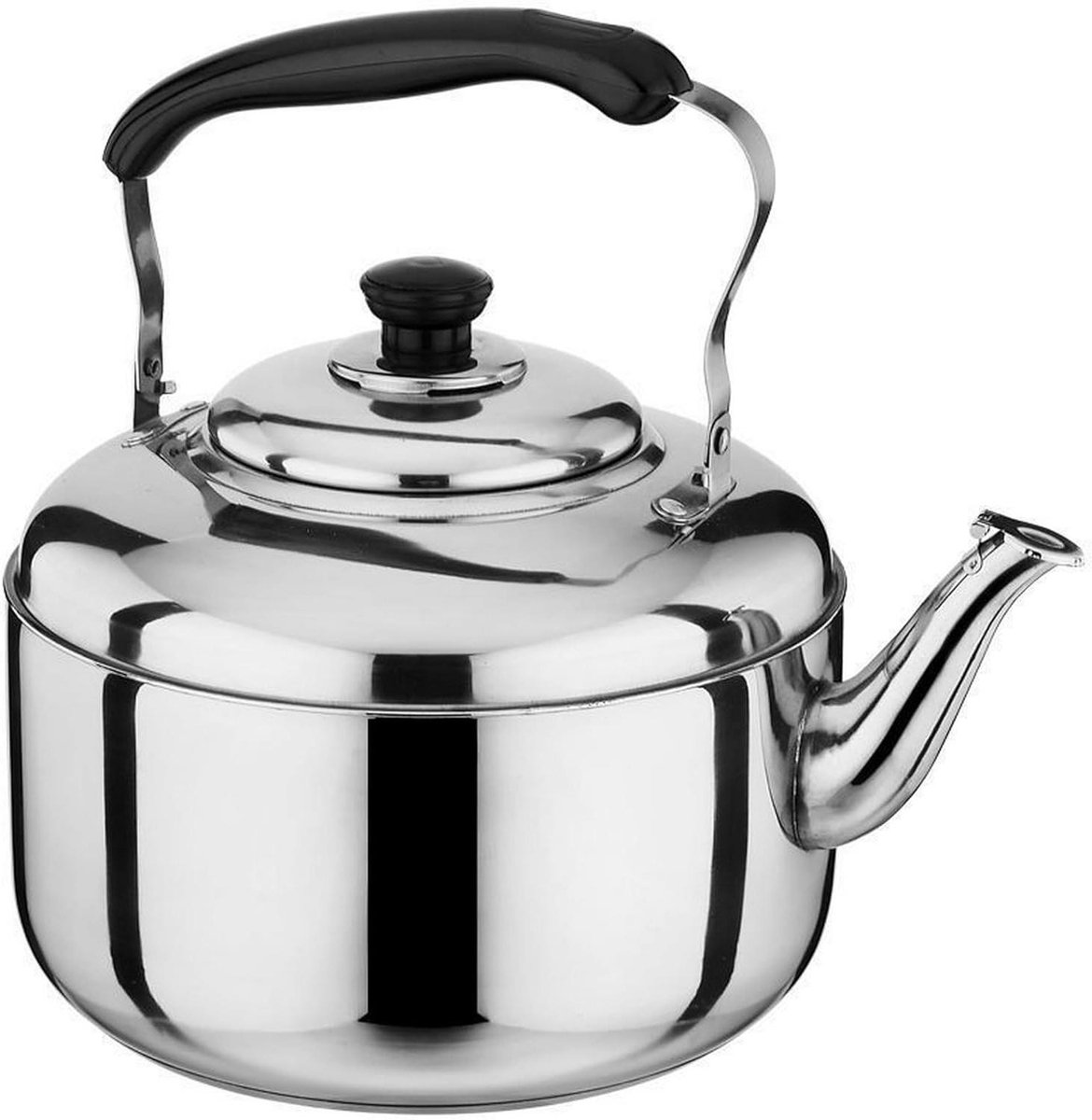 Grote Waterkoker - Theepot Fluitketel - Water Koken - Roestvrij Staal - 9L - Zilver