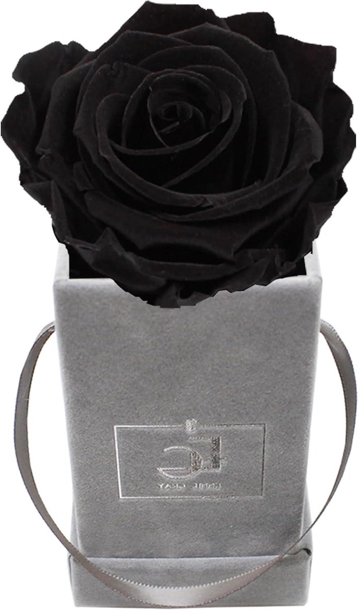 Infinity Rozen Box - Geconserveerde Rozen - Cadeau Geven - Tot 3 Jaar Houdbaar