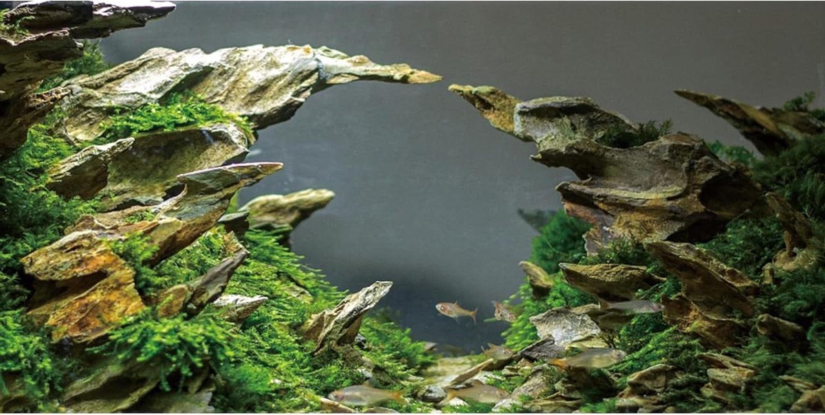 Aquarium Achtergrond - Vis Tank Decoratie - Aquarium Aankleden - Levendige HD Beelden - 120x50cm - Steen Patroon