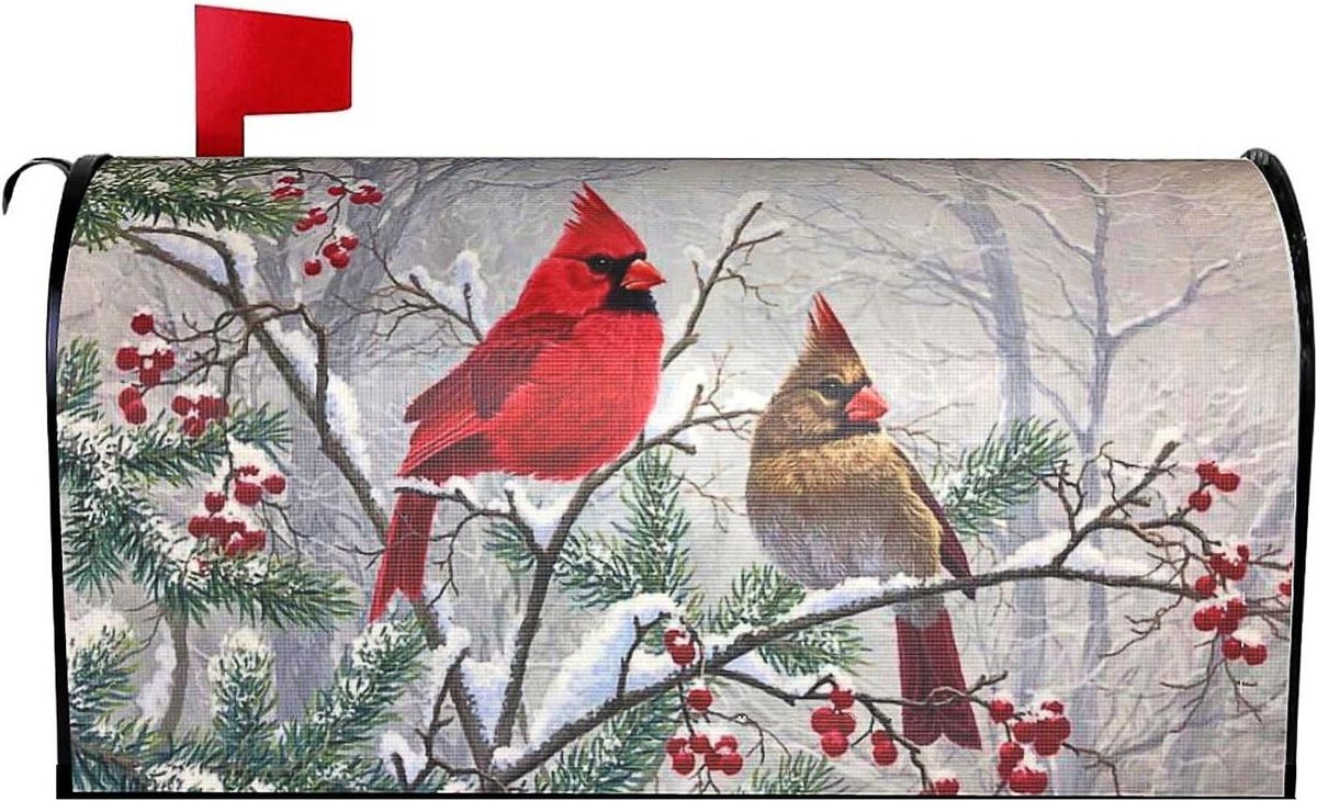 Brievenbus Cover - Brievenbushoes Magnetisch - Tuin Decoratie - Waterdicht Oxford Doek - 53 x 46 cm - Kardinaal Vogel