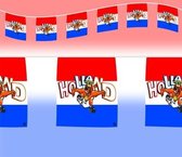 Ligne du drapeau hollandais avec lion orange