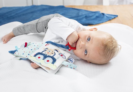 Baby met blauwe ogen houdt een stoffen boekje met hond en auto vast.