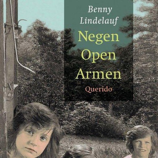 Bol Com Negen Open Armen Benny Lindelauf 9789045124445 Boeken