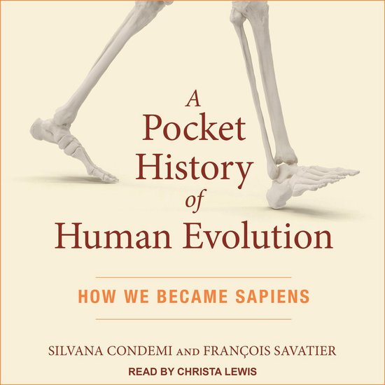 A Pocket History of Human Evolution - cover