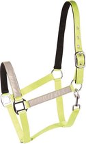 Harry's Horse Halster Reflective