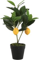 Non-branded Kunstplant Citrus Mitis 30 Cm Groen/geel