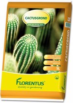 Find the perfect Cactus soil mix for you on Bol.com