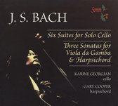 Cello Suites/Sonatas for Viola Da G