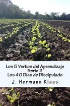 Los 5 Verbos del Aprendizaje