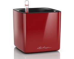 LECHUZA CUBE Glossy 14 - Plantenbak - met uitneembare binnenbak - met bewateringssysteem - ALL-IN-ONE set - scharlakenrood hoogglans