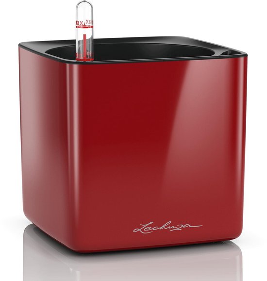Lechuza - CUBE GLOSSY 14 Rouge écarlate haute brillance TOUT-EN-UN