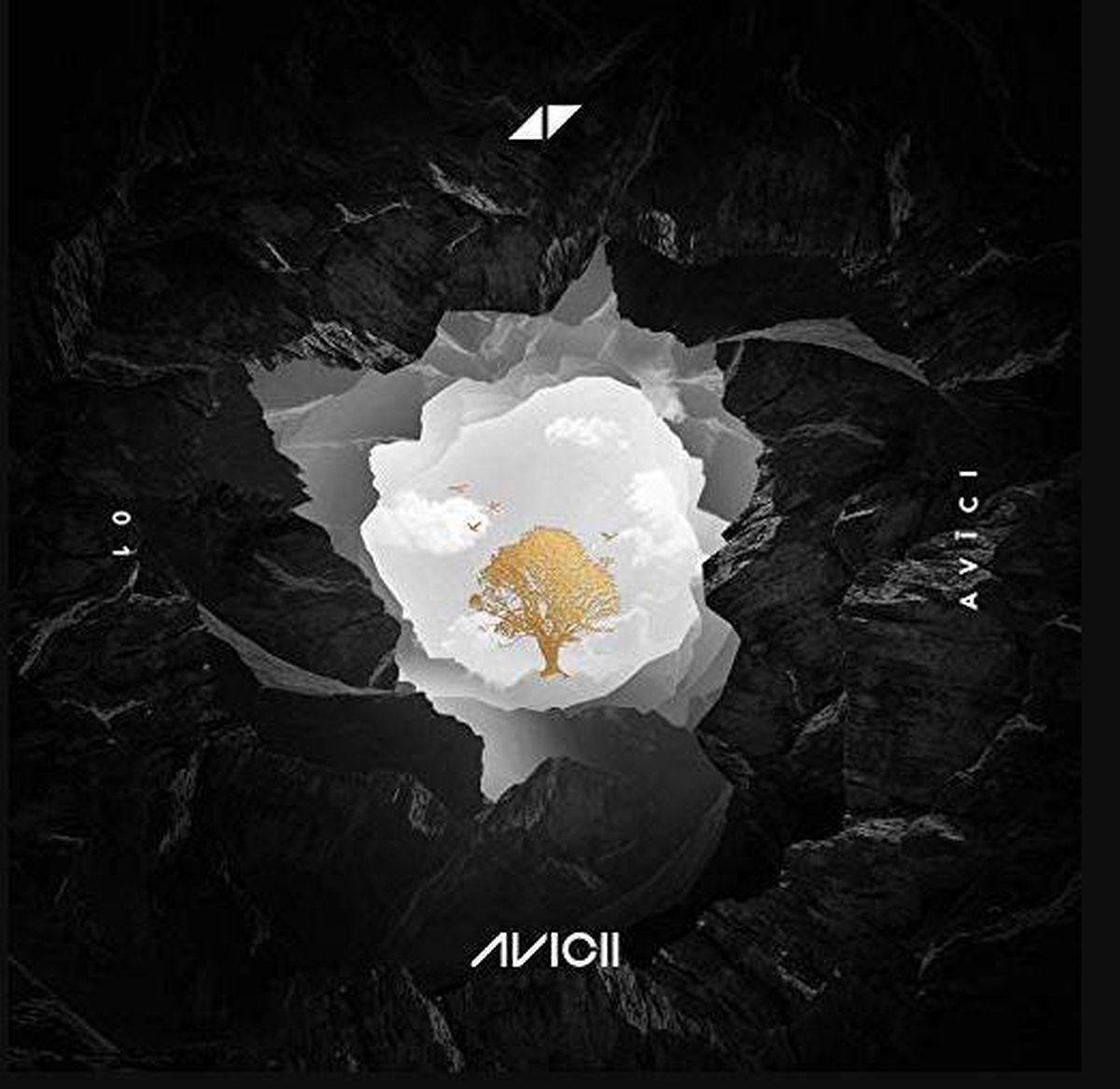 Without You (Bonus Track) - Avicii