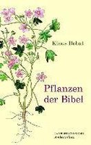 Pflanzen der Bibel