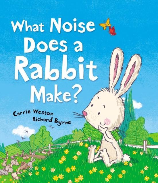 Boek cover What Noise Does a Rabbit Make? van Carrie Weston (Paperback)
