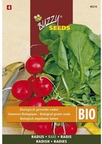 Buzzy  Seeds Bio Radijs Raxe (Skal 14218 NL-BIO-01)